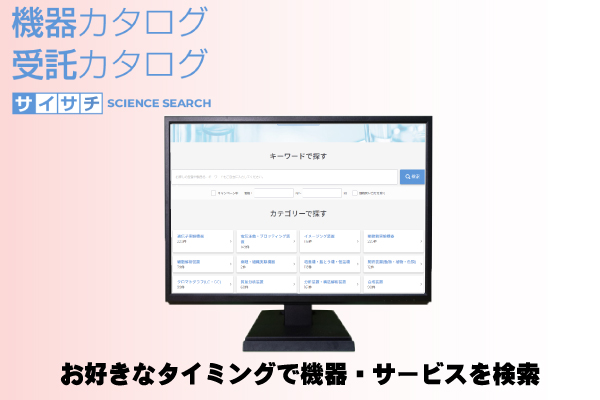 サイサチ説明１
